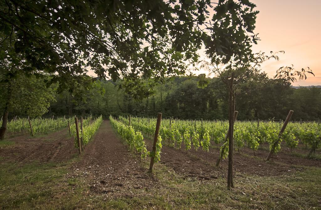 La Pampa Relais & Spa Melizzano Eksteriør billede