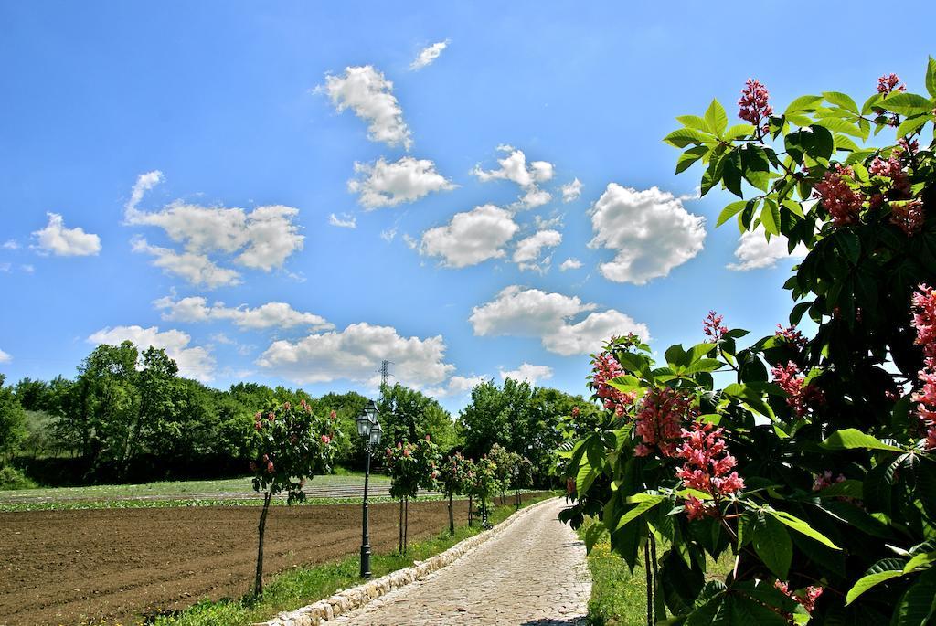 La Pampa Relais & Spa Melizzano Eksteriør billede